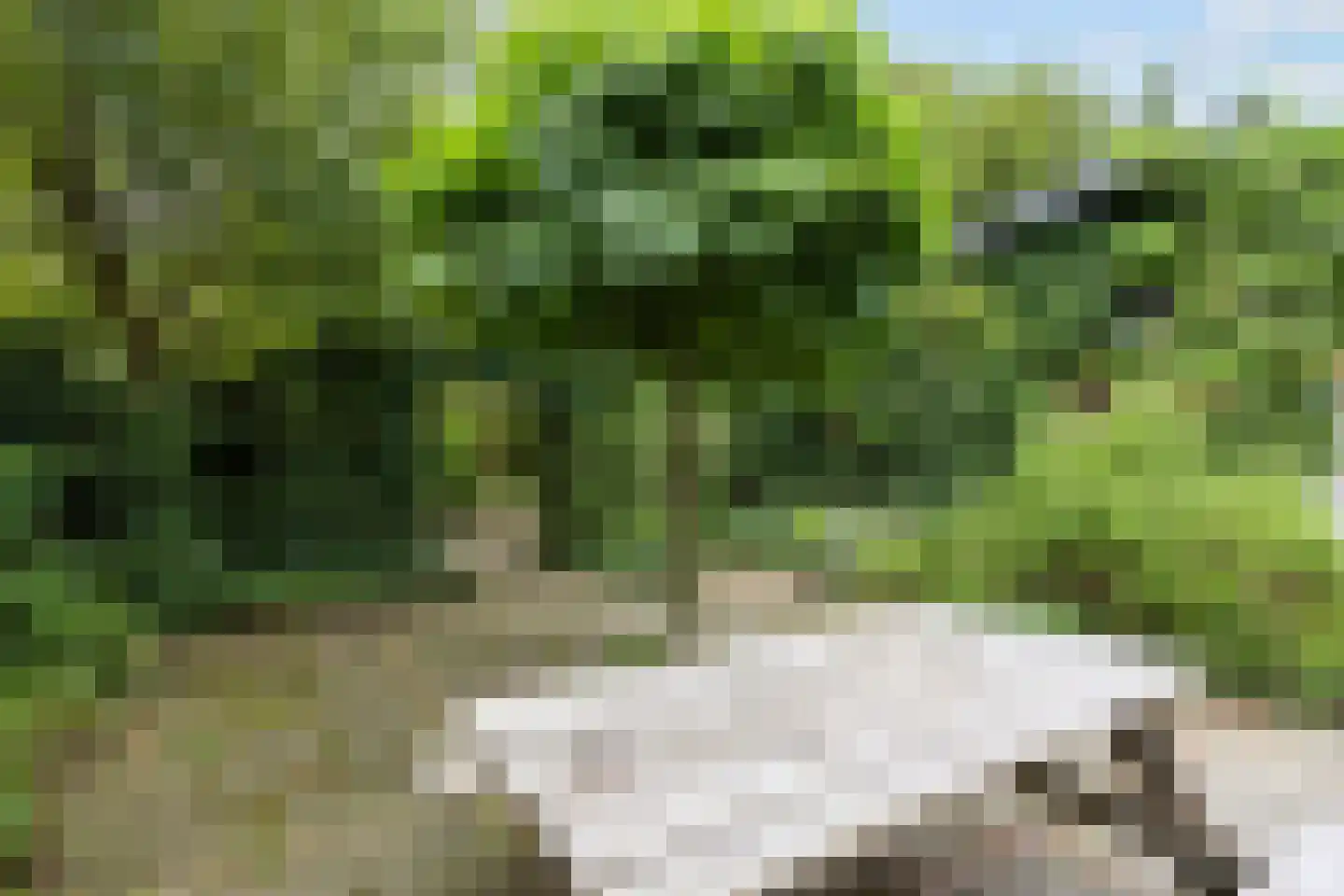 Mernaweg 81 Wehe-den Hoorn thumbnail 51