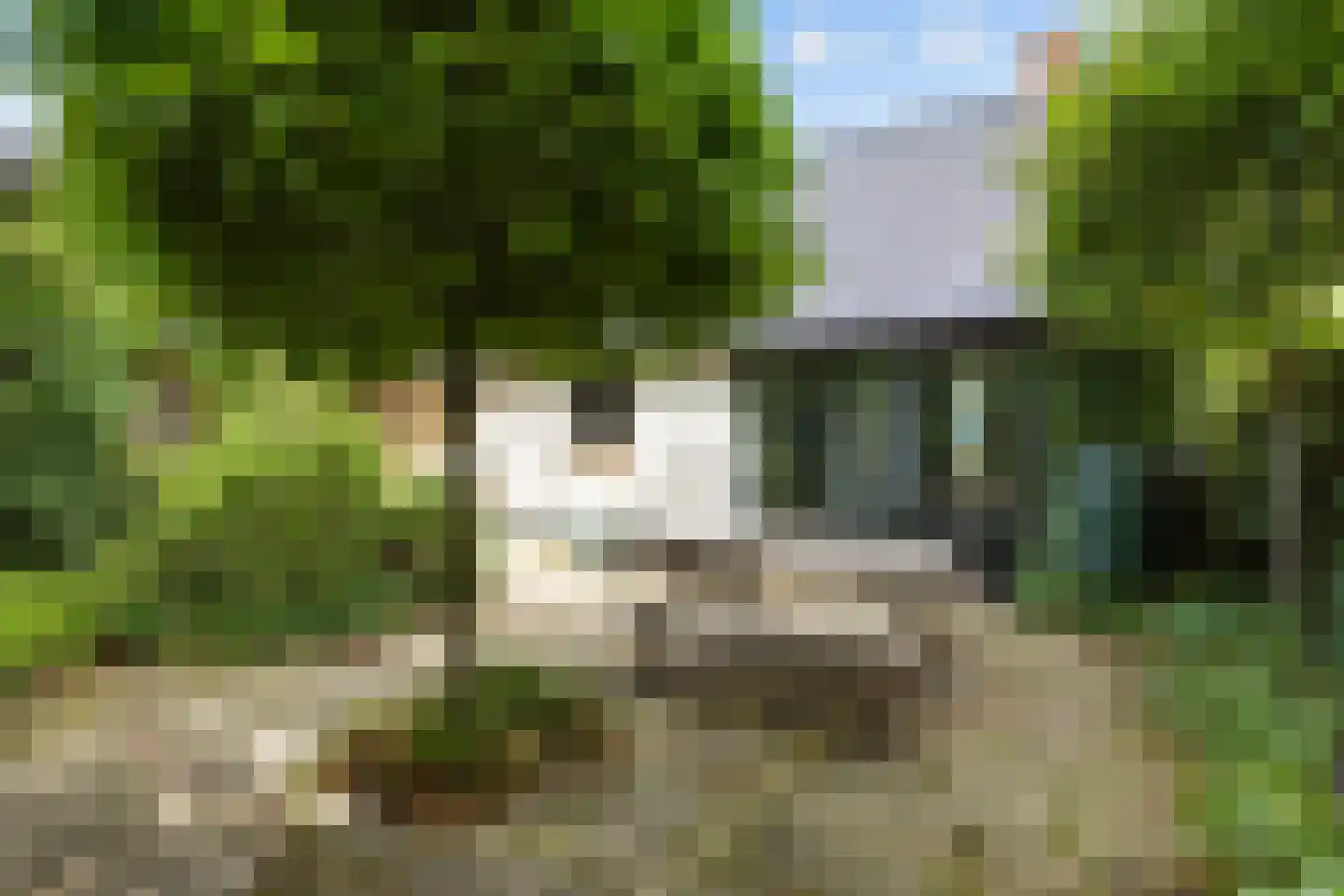 Mernaweg 81 Wehe-den Hoorn thumbnail 52