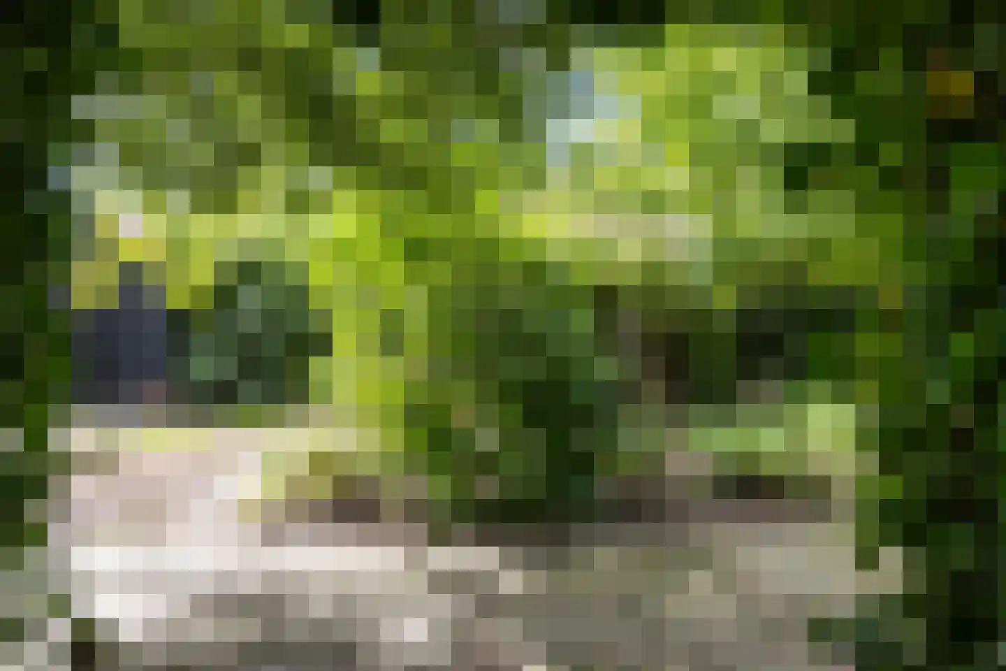 Mernaweg 81 Wehe-den Hoorn thumbnail 55