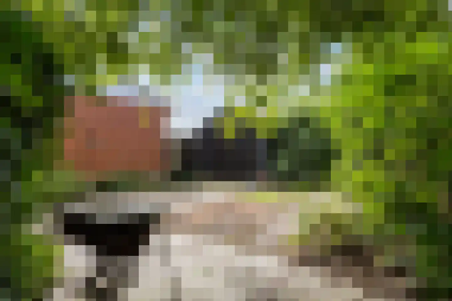 Mernaweg 81 Wehe-den Hoorn thumbnail 56