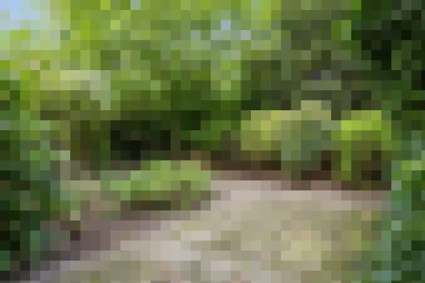 Mernaweg 81 Wehe-den Hoorn thumbnail 57