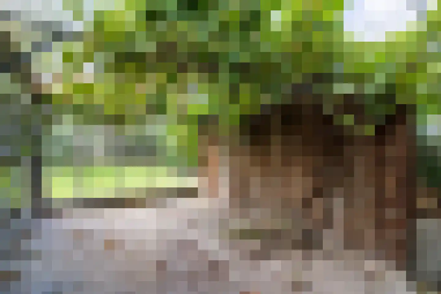 Mernaweg 81 Wehe-den Hoorn thumbnail 62