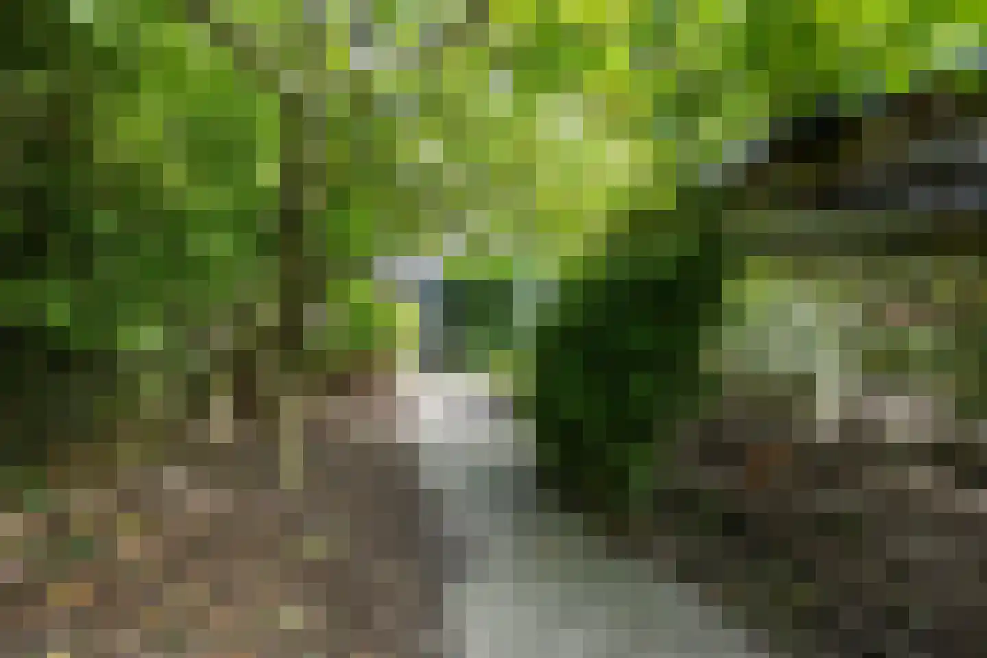 Mernaweg 81 Wehe-den Hoorn thumbnail 63