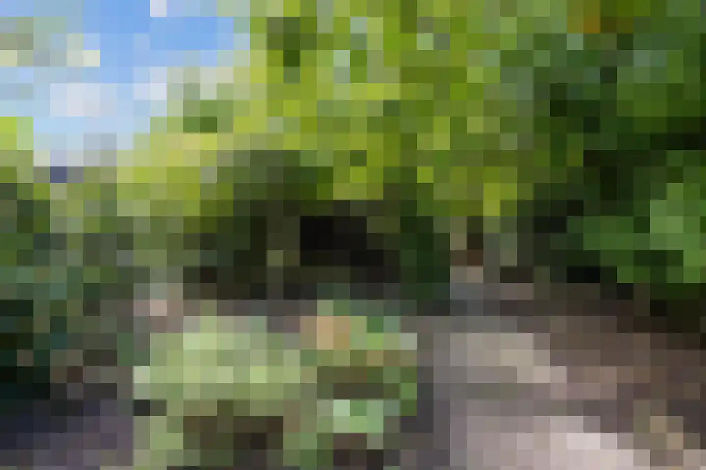 Mernaweg 81 Wehe-den Hoorn thumbnail 64