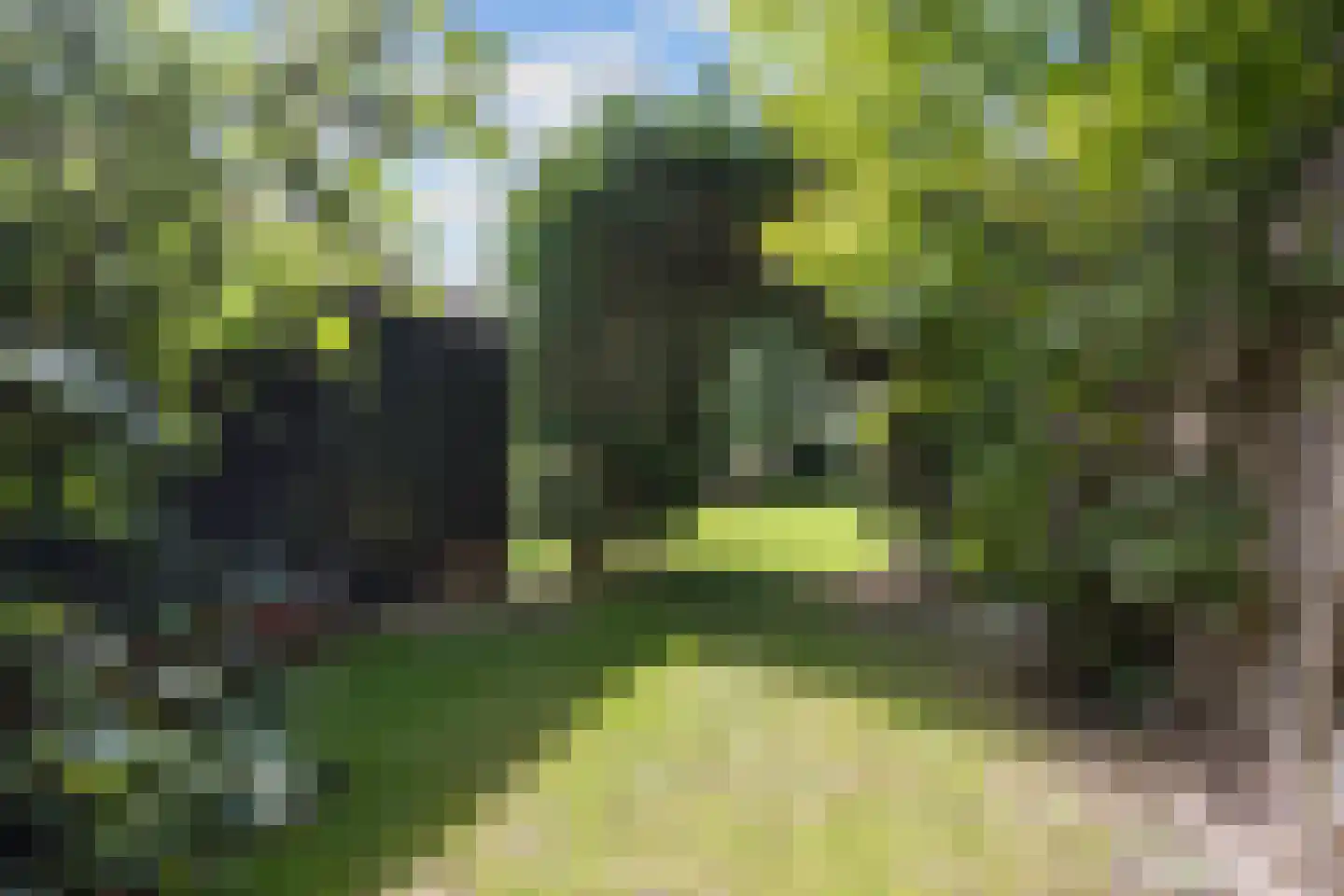 Mernaweg 81 Wehe-den Hoorn thumbnail 70