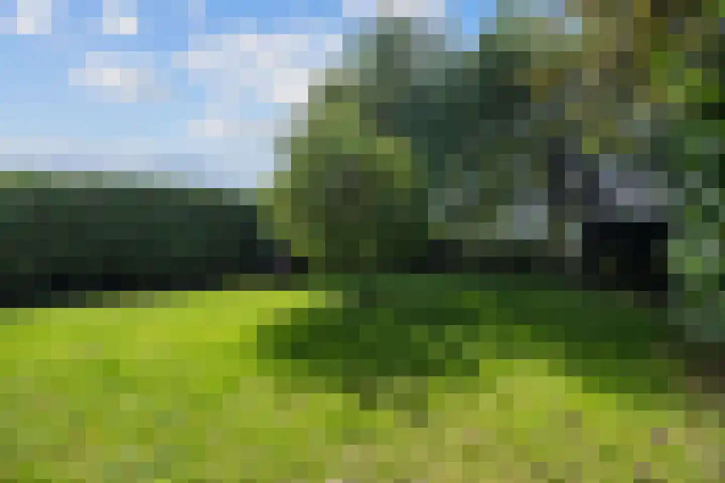 Mernaweg 81 Wehe-den Hoorn thumbnail 72
