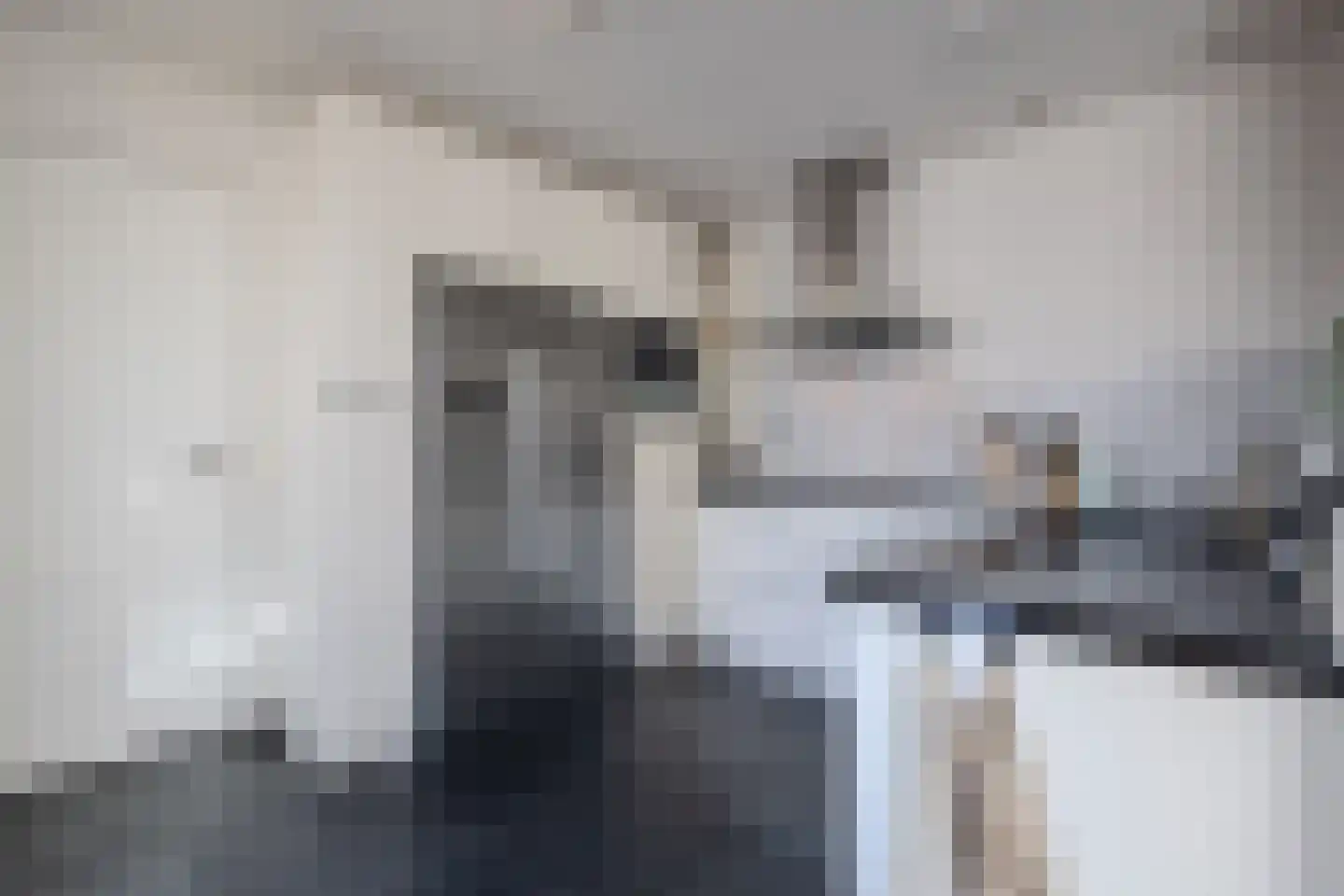 Merodelaan 30 Oirschot thumbnail 15