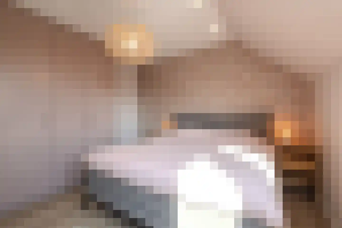 Merodelaan 30 Oirschot thumbnail 25