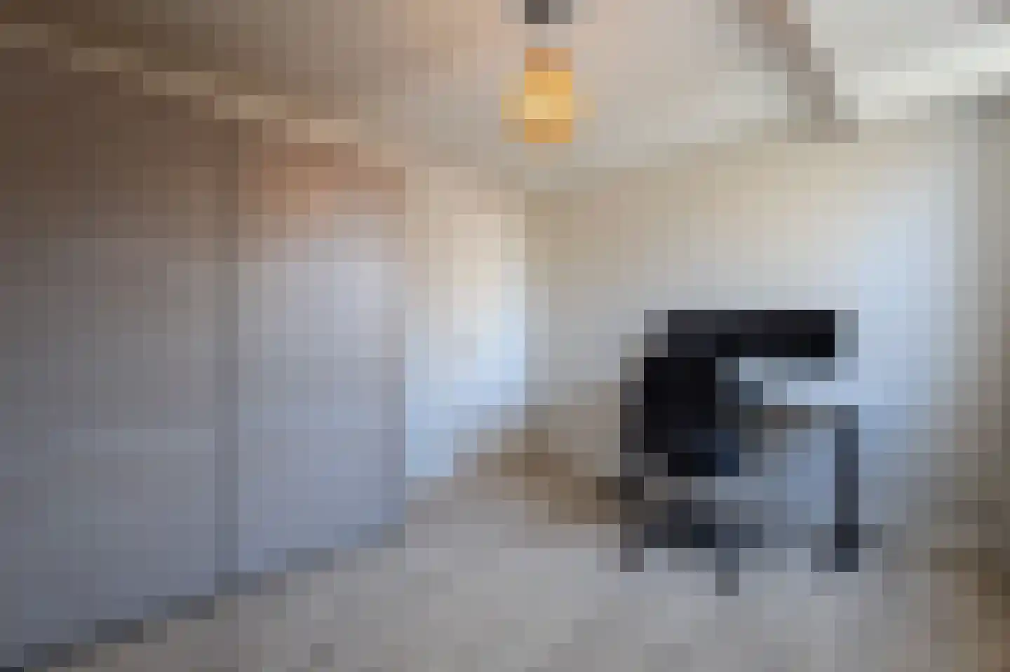 Merodelaan 30 Oirschot thumbnail 27