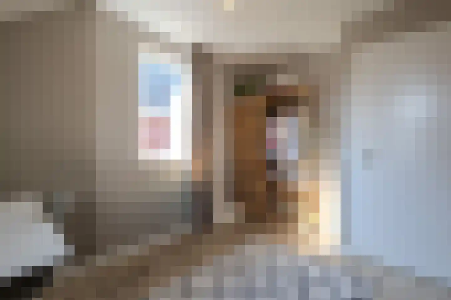 Merodelaan 30 Oirschot thumbnail 29