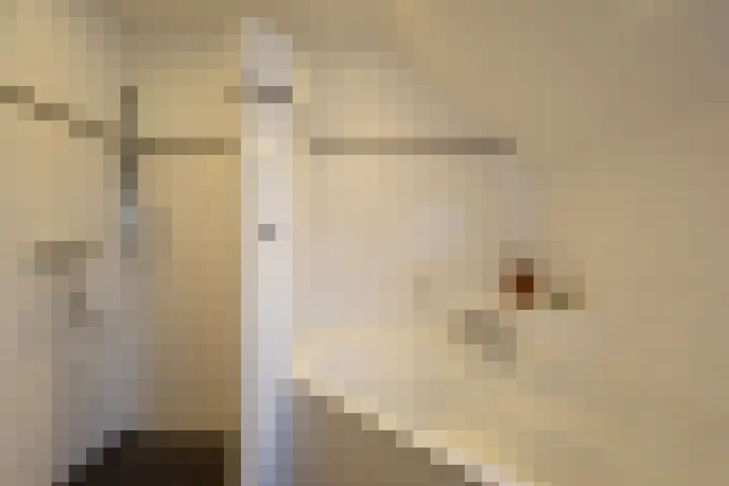 Merodelaan 30 Oirschot thumbnail 30