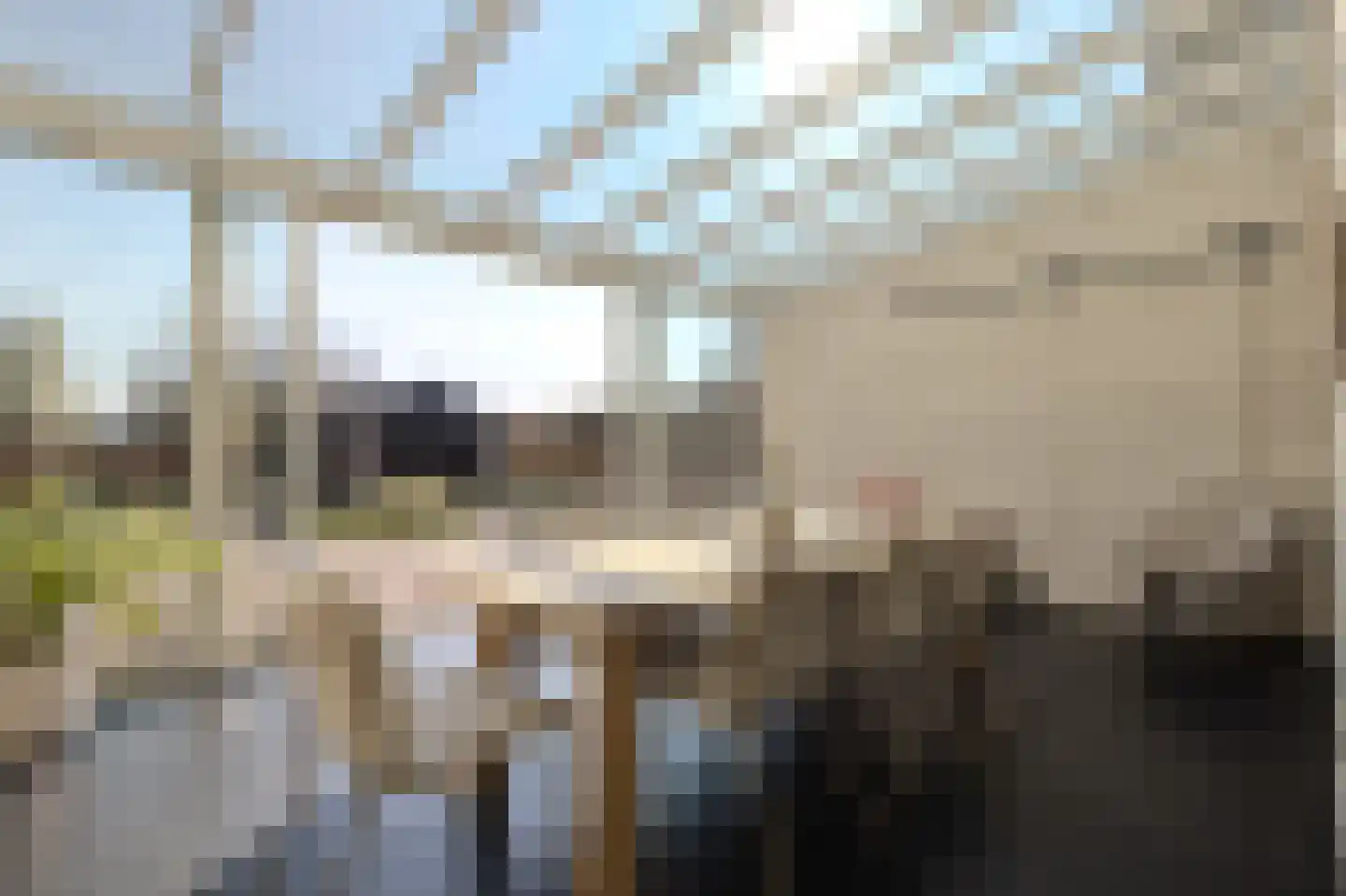 Merodelaan 30 Oirschot thumbnail 4