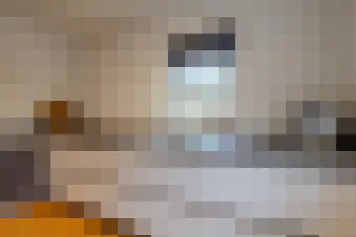 Merodelaan 5 Oirschot thumbnail 10