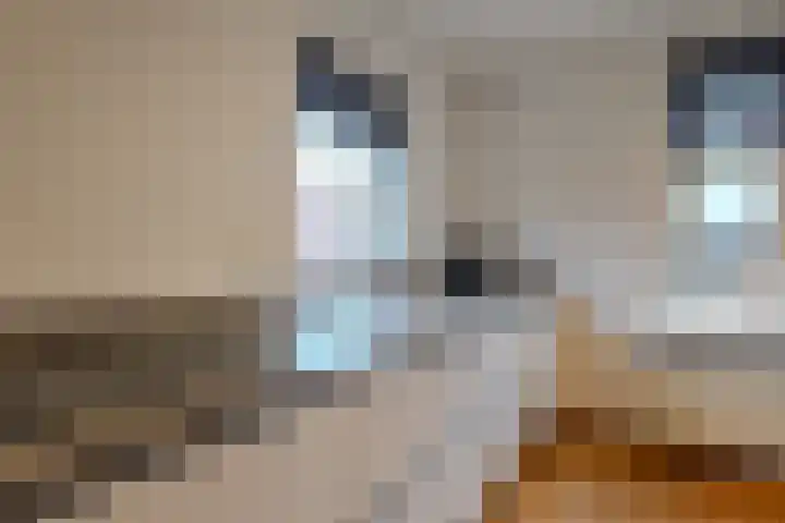 Merodelaan 5 Oirschot thumbnail 11