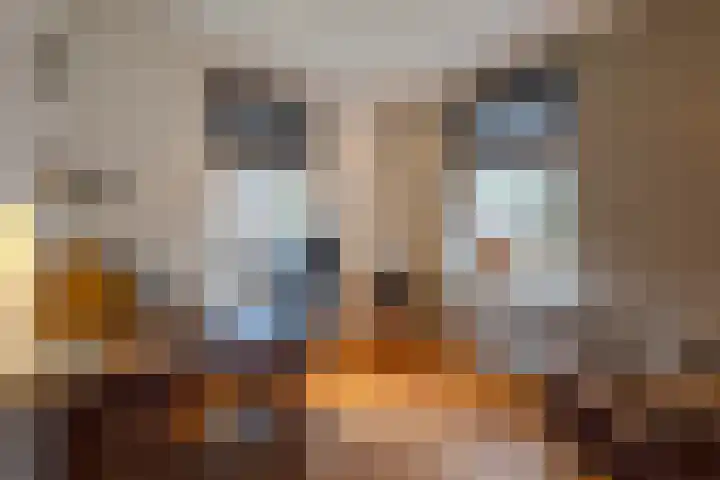 Merodelaan 5 Oirschot thumbnail 15