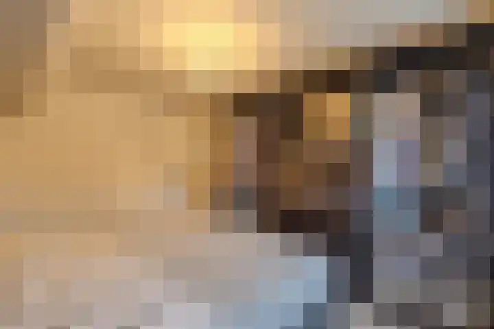 Merodelaan 5 Oirschot thumbnail 25
