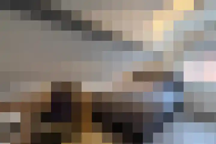 Merodelaan 5 Oirschot thumbnail 26