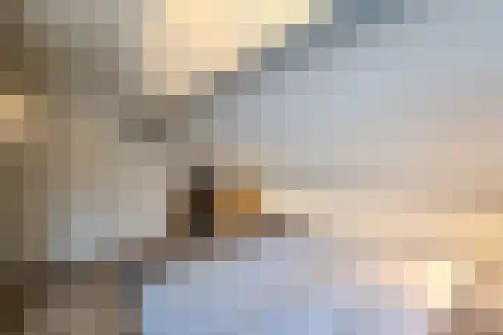 Merodelaan 5 Oirschot thumbnail 28