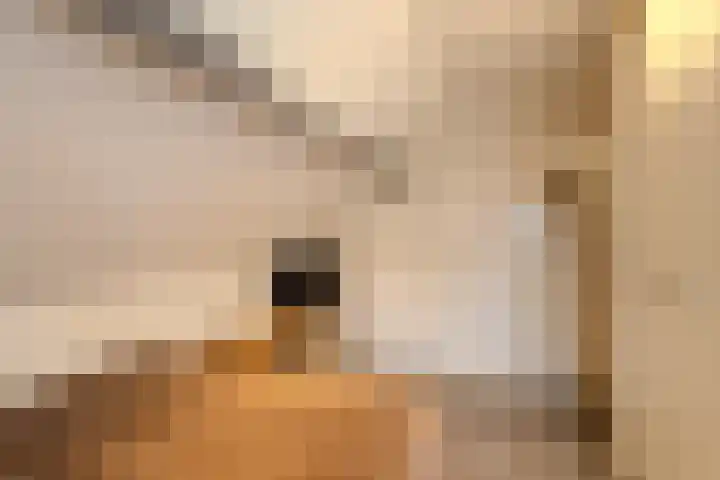 Merodelaan 5 Oirschot thumbnail 31
