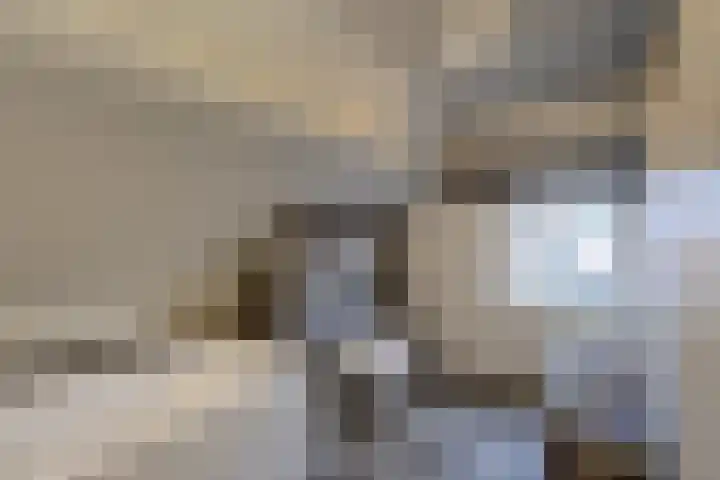 Merodelaan 5 Oirschot thumbnail 32