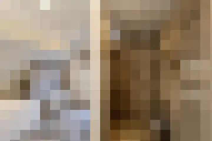 Merodelaan 5 Oirschot thumbnail 33