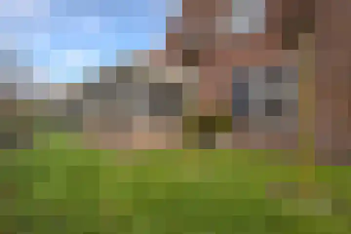 Merodelaan 5 Oirschot thumbnail 39