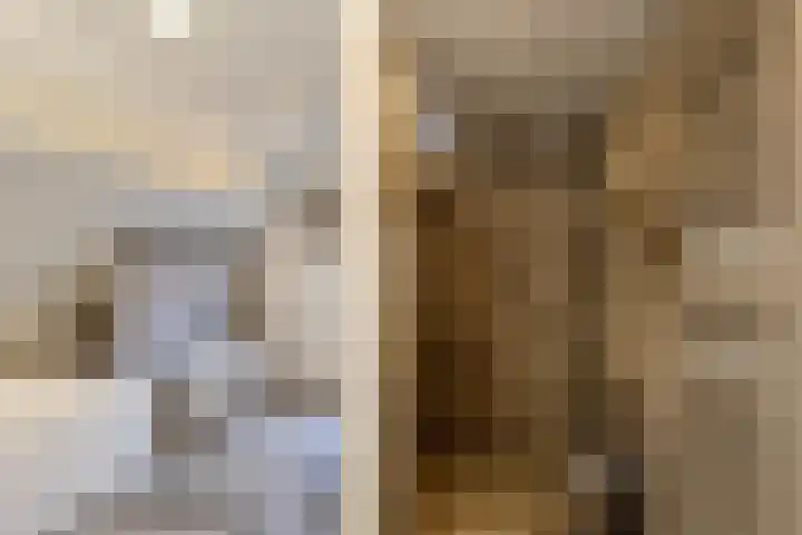 Merodelaan 5 Oirschot thumbnail 4