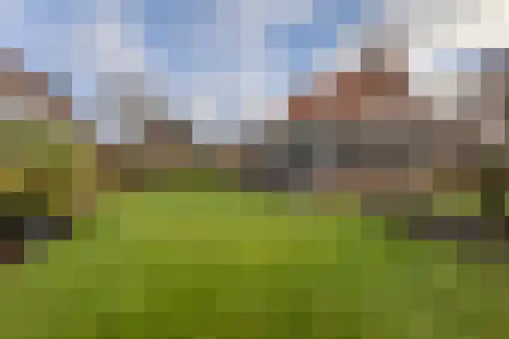Merodelaan 5 Oirschot thumbnail 40
