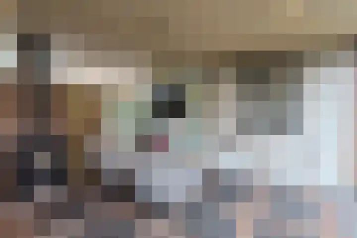 Merodelaan 5 Oirschot thumbnail 42