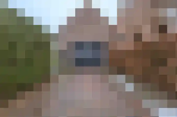 Merodelaan 5 Oirschot thumbnail 44