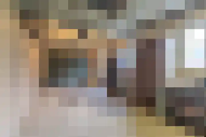 Merodelaan 5 Oirschot thumbnail 45