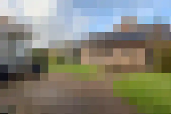 Merodelaan 5 Oirschot thumbnail 5