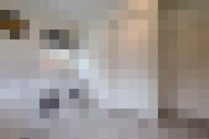 Merodelaan 5 Oirschot thumbnail 7