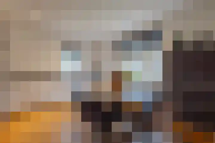 Merodelaan 5 Oirschot thumbnail 9