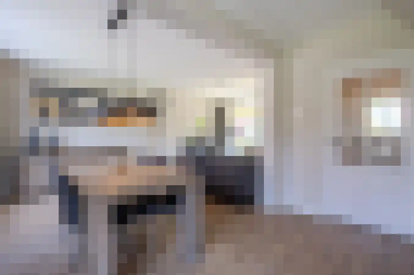Merodelaan 9 Oirschot thumbnail 11
