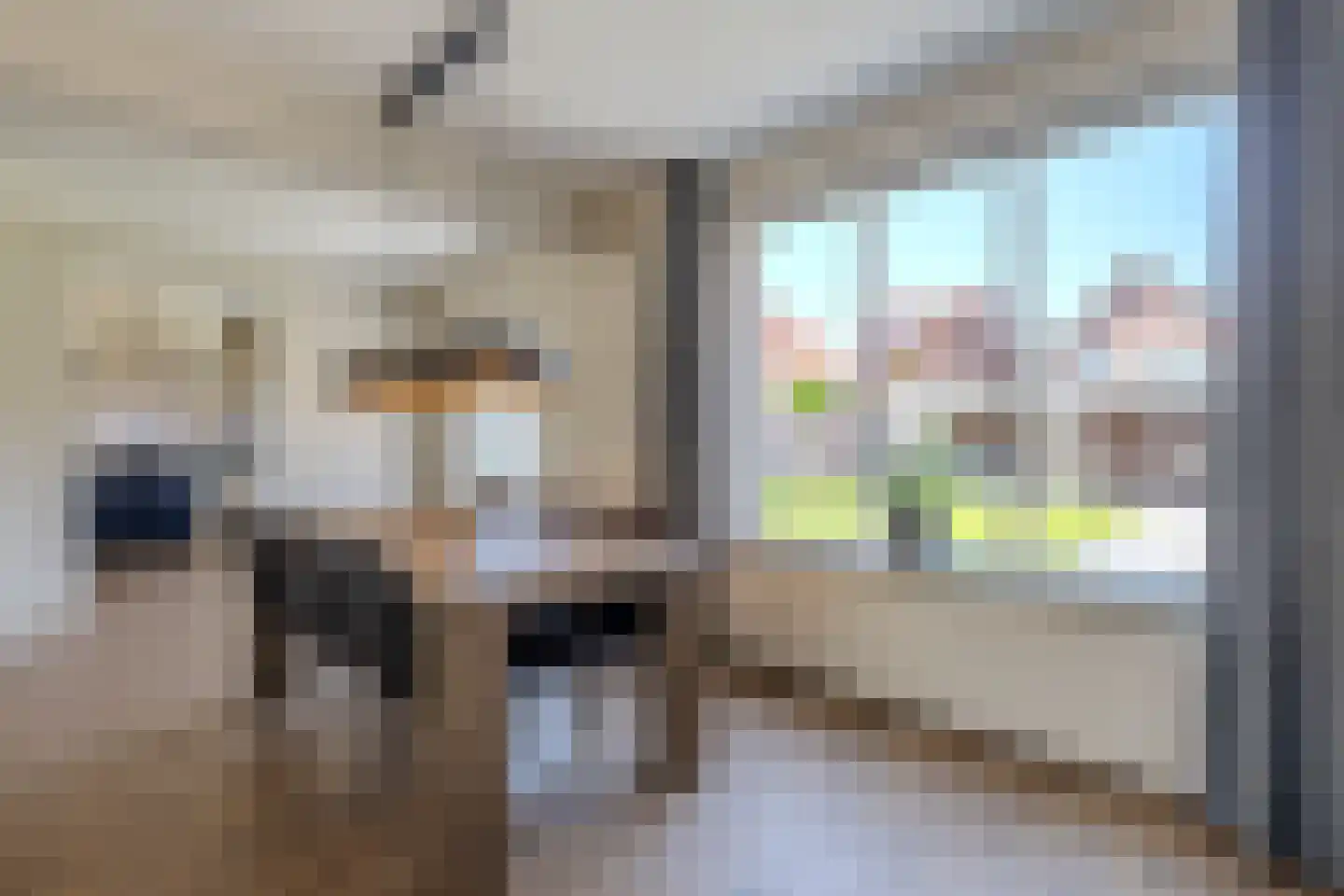 Merodelaan 9 Oirschot thumbnail 13