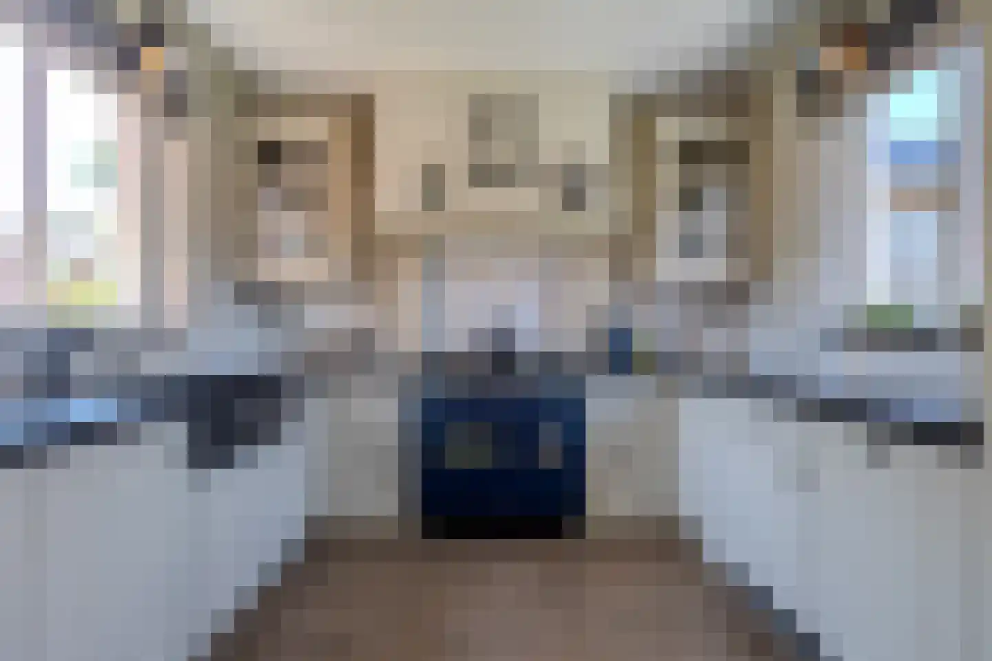 Merodelaan 9 Oirschot thumbnail 14