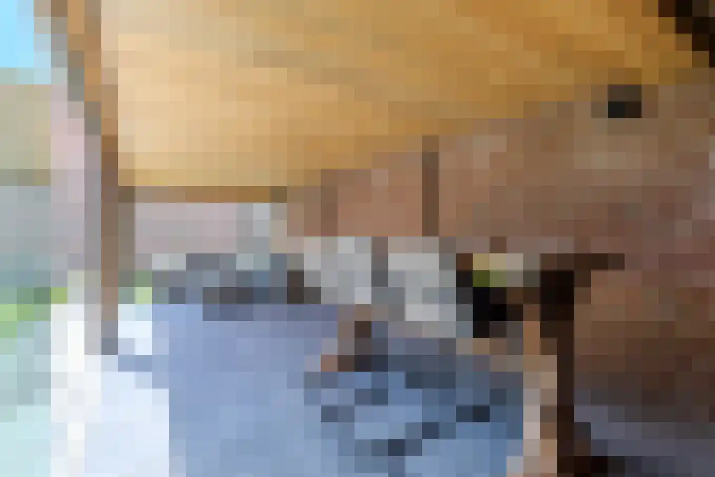 Merodelaan 9 Oirschot thumbnail 34