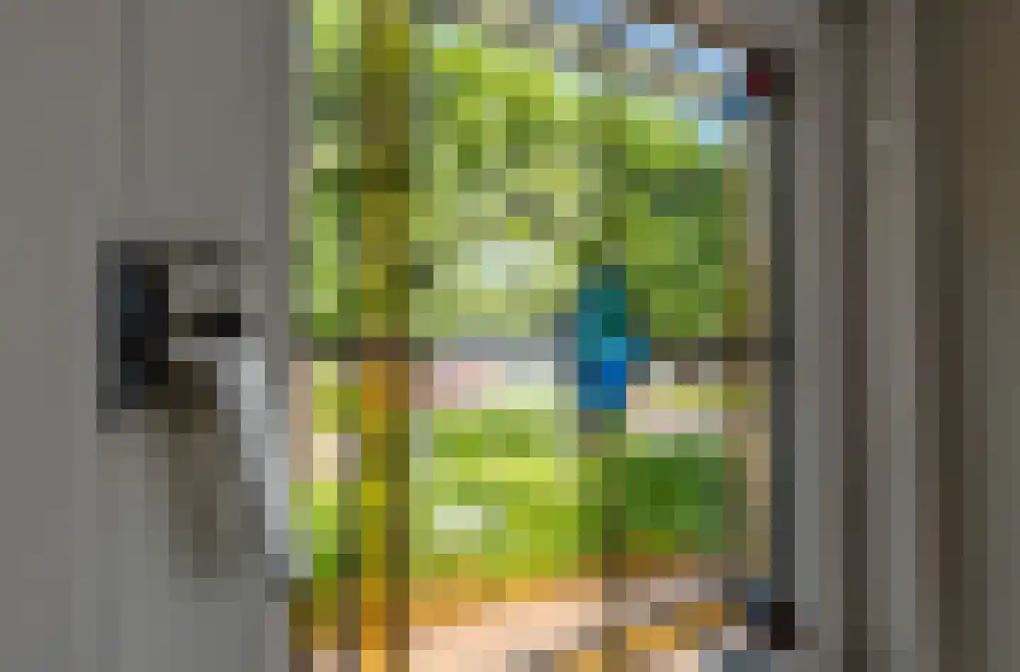 Merodelaan 9 Oirschot thumbnail 7