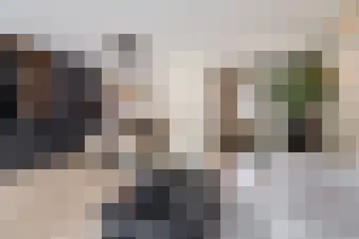 Merodelaan 99 Breda thumbnail 11