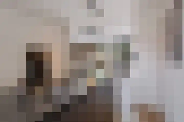 Merodelaan 99 Breda thumbnail 12