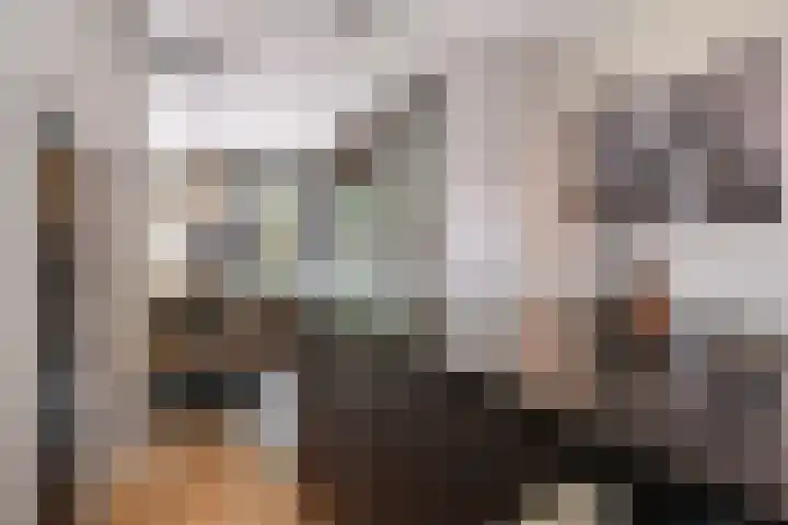 Merodelaan 99 Breda thumbnail 13