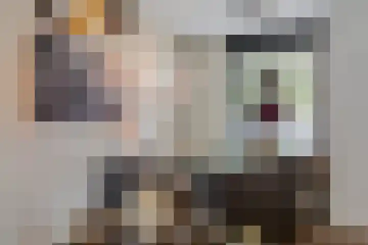 Merodelaan 99 Breda thumbnail 14