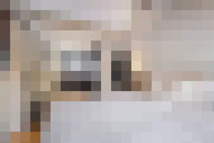 Merodelaan 99 Breda thumbnail 20