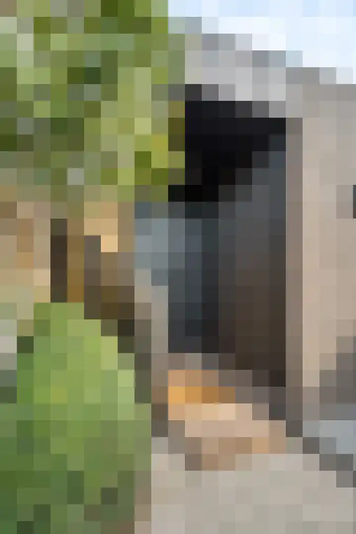 Merodelaan 99 Breda thumbnail 29