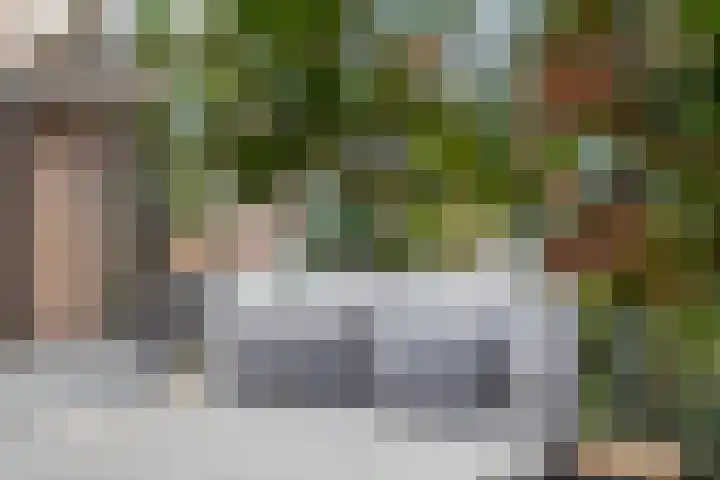 Merodelaan 99 Breda thumbnail 30