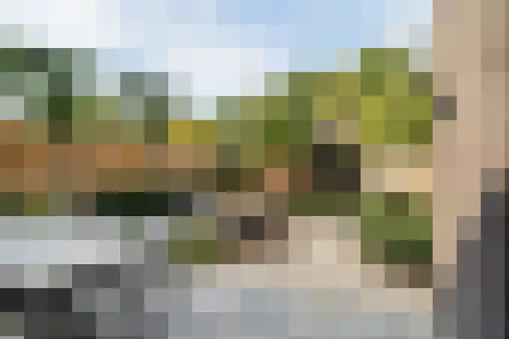 Merodelaan 99 Breda thumbnail 32