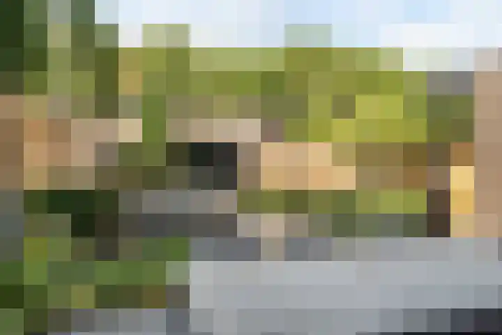 Merodelaan 99 Breda thumbnail 33