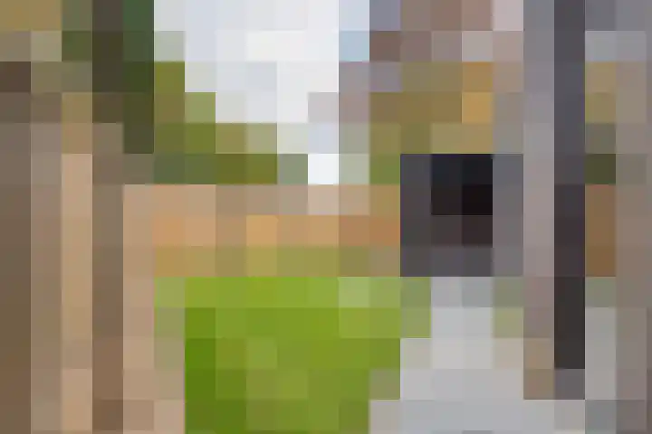 Merodelaan 99 Breda thumbnail 36