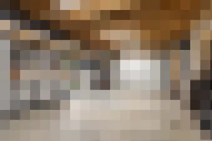 Merodelaan 99 Breda thumbnail 39